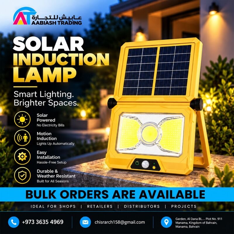 Solar Induction Lamp (COB)